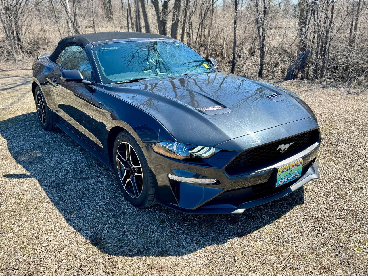 2023 Ford Mustang EcoBoost Premium Convertible - Photo #2