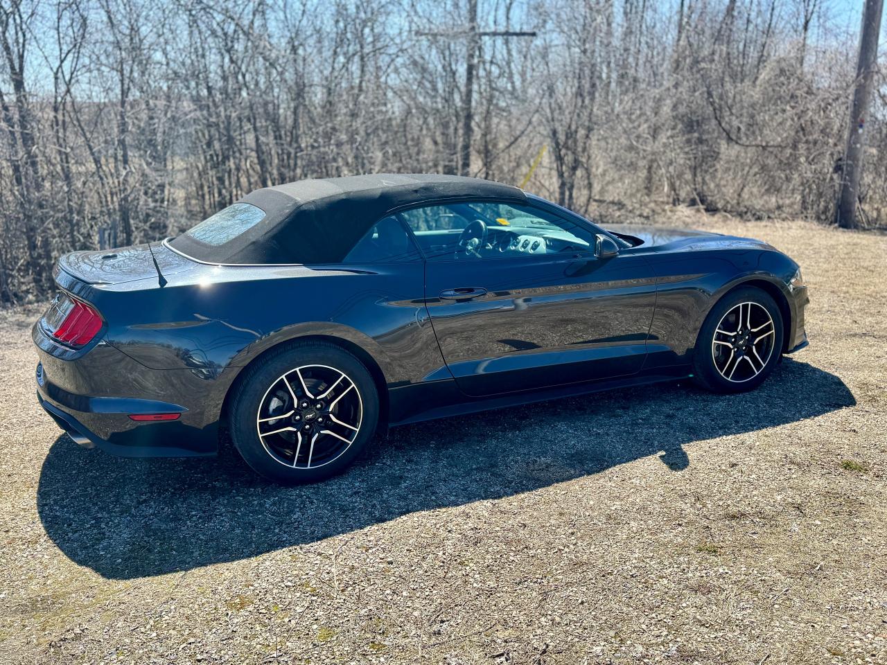 2023 Ford Mustang EcoBoost Premium Convertible - Photo #11