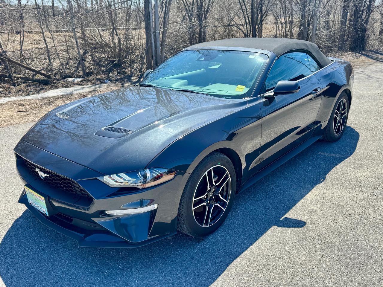 2023 Ford Mustang EcoBoost Premium Convertible - Photo #19