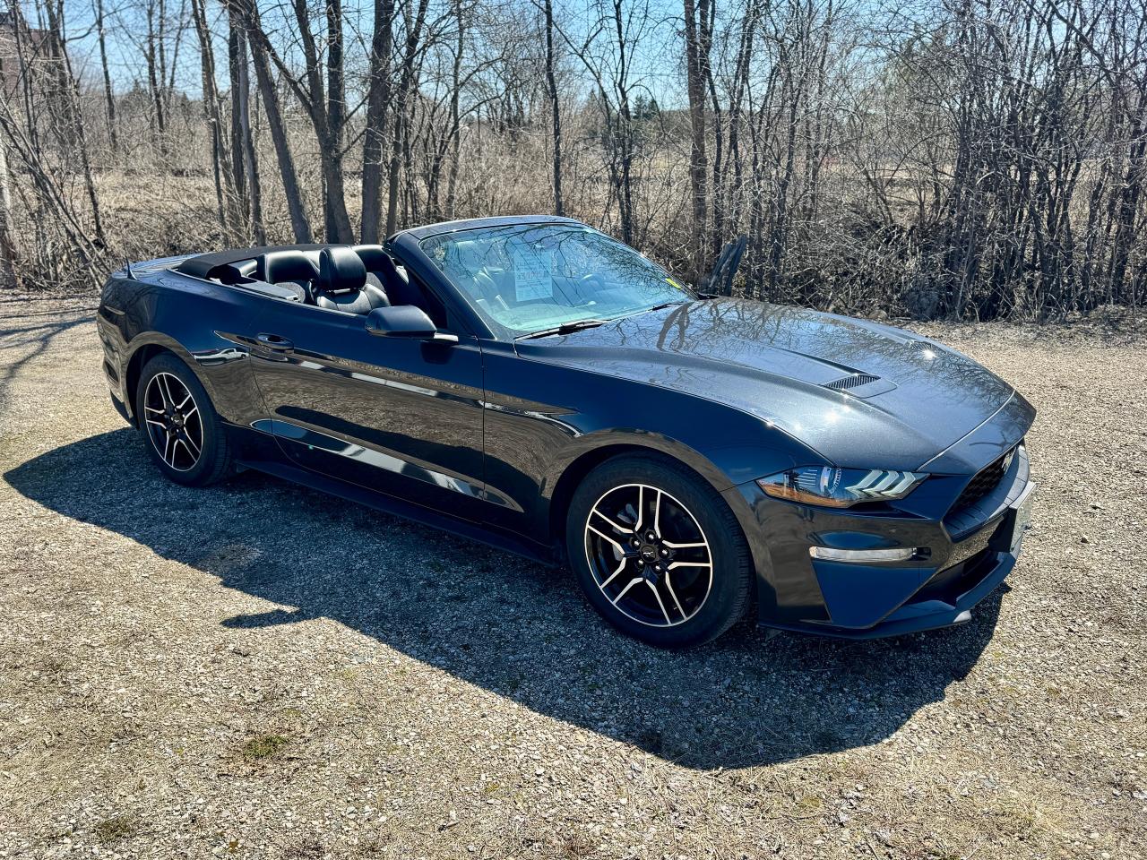 2023 Ford Mustang EcoBoost Premium Convertible - Photo #6