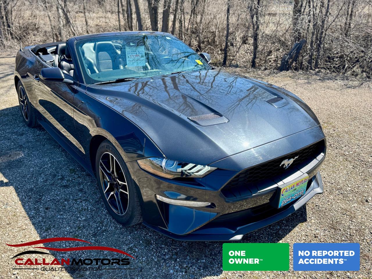 Used 2023 Ford Mustang EcoBoost Premium Convertible for sale in Perth, ON