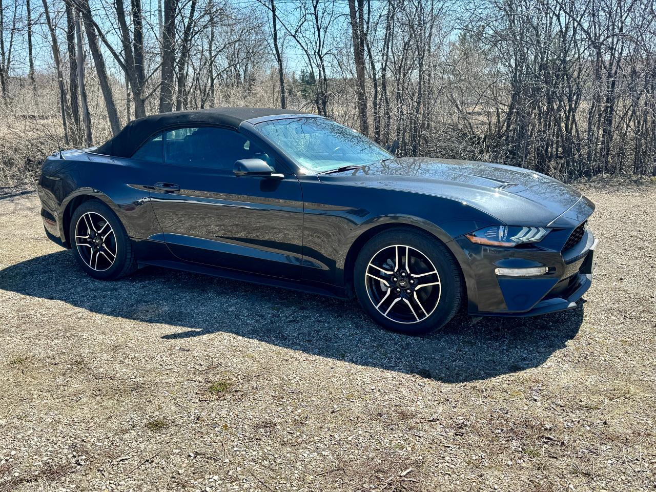 2023 Ford Mustang EcoBoost Premium Convertible - Photo #10