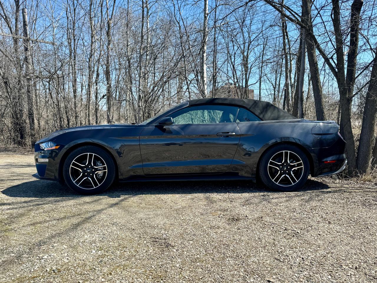 2023 Ford Mustang EcoBoost Premium Convertible - Photo #13