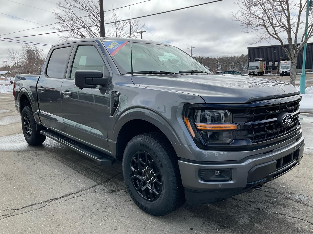 2025 Ford F-150 XLT Photo5