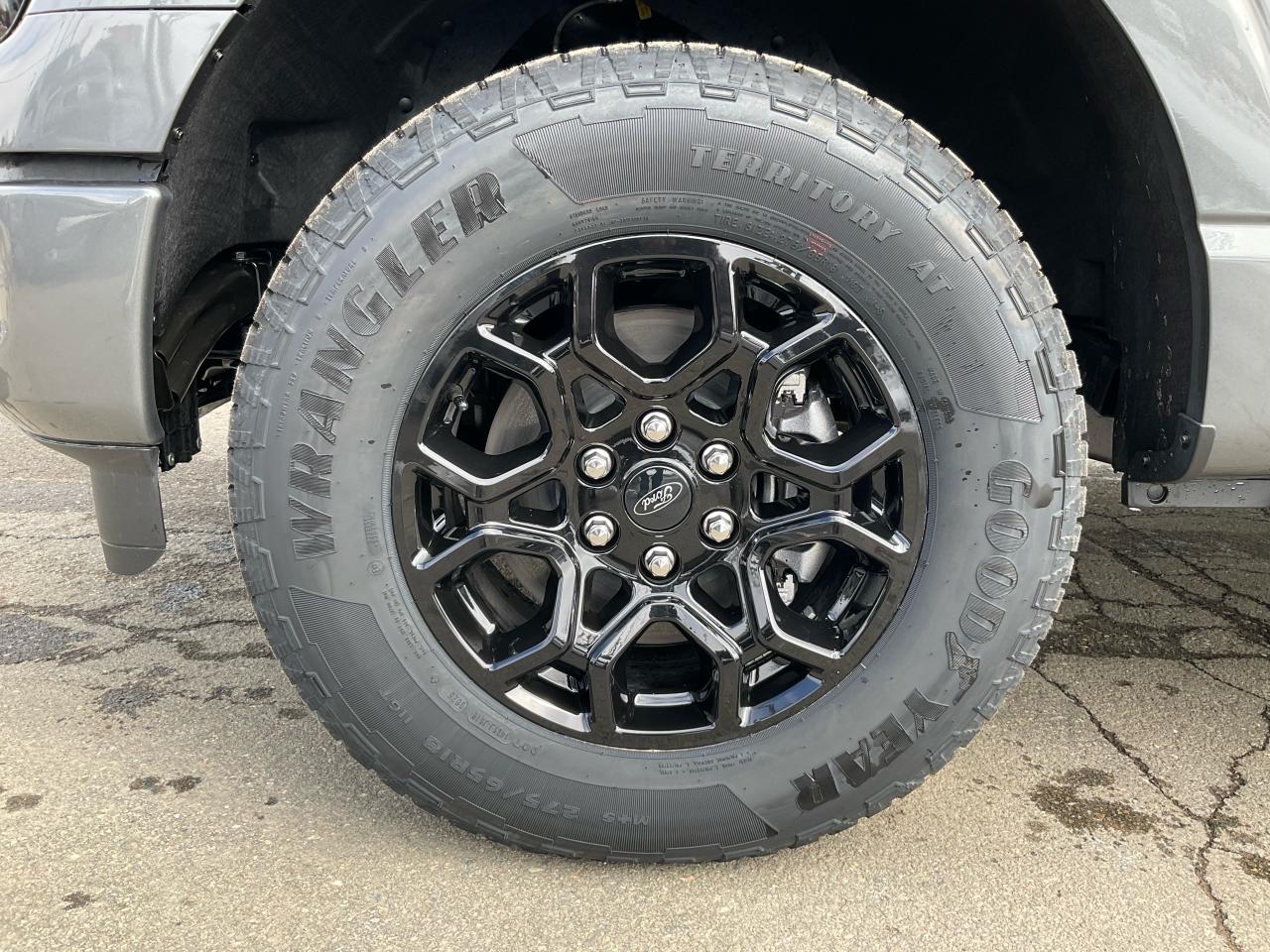 2025 Ford F-150 XLT Photo5