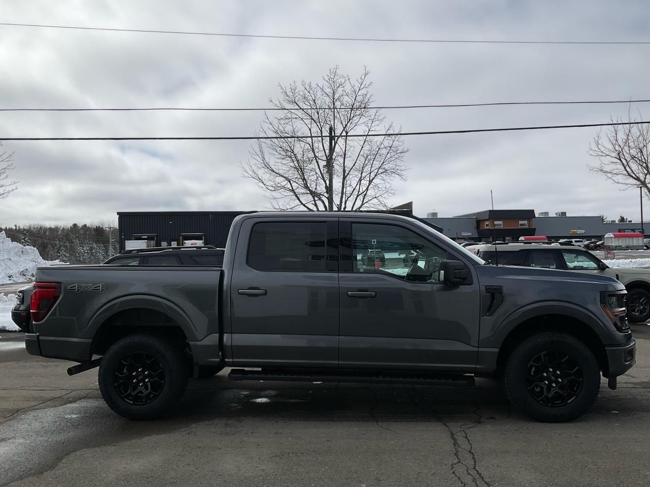 2025 Ford F-150 XLT Photo5