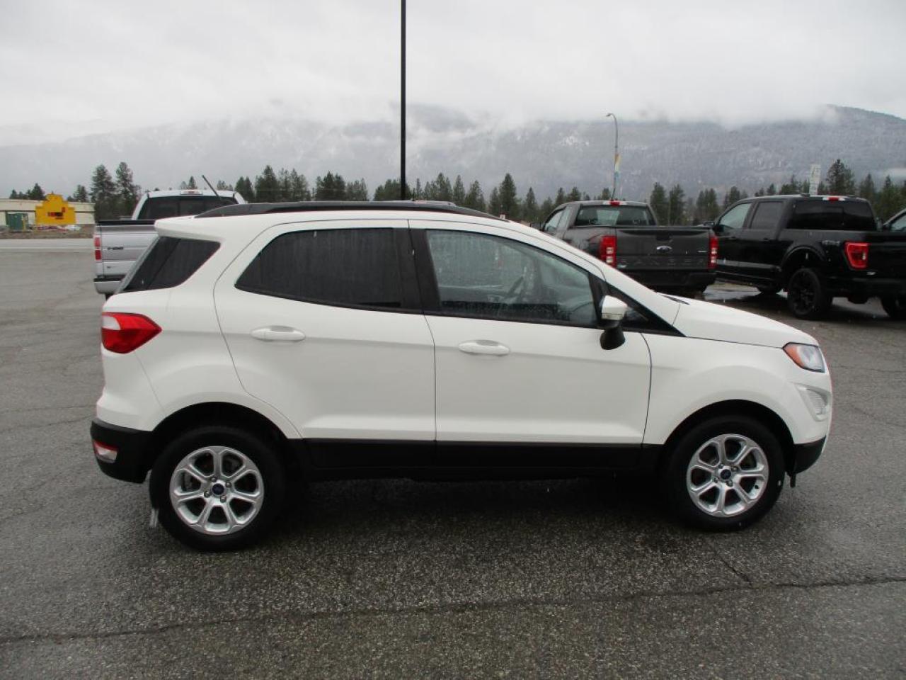 2018 Ford EcoSport SE AWD Photo3