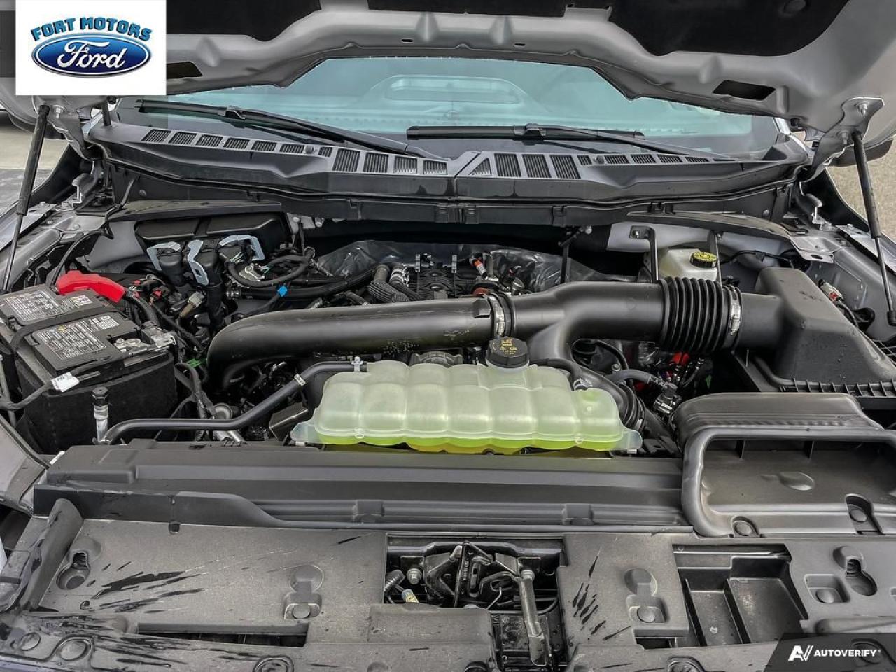 2025 Ford F-150 XLT Photo5