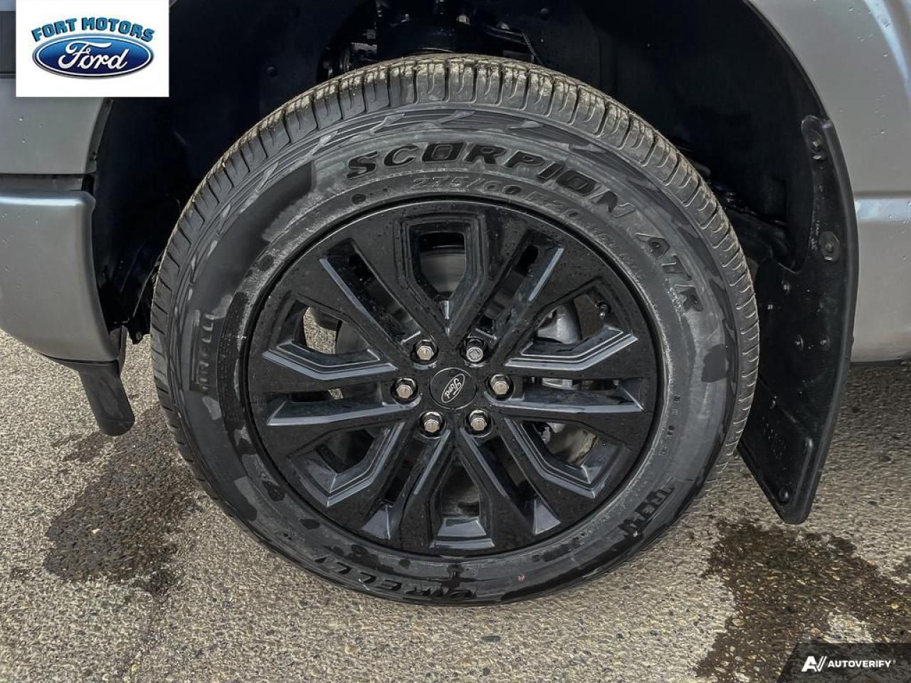 2025 Ford F-150 XLT Photo5