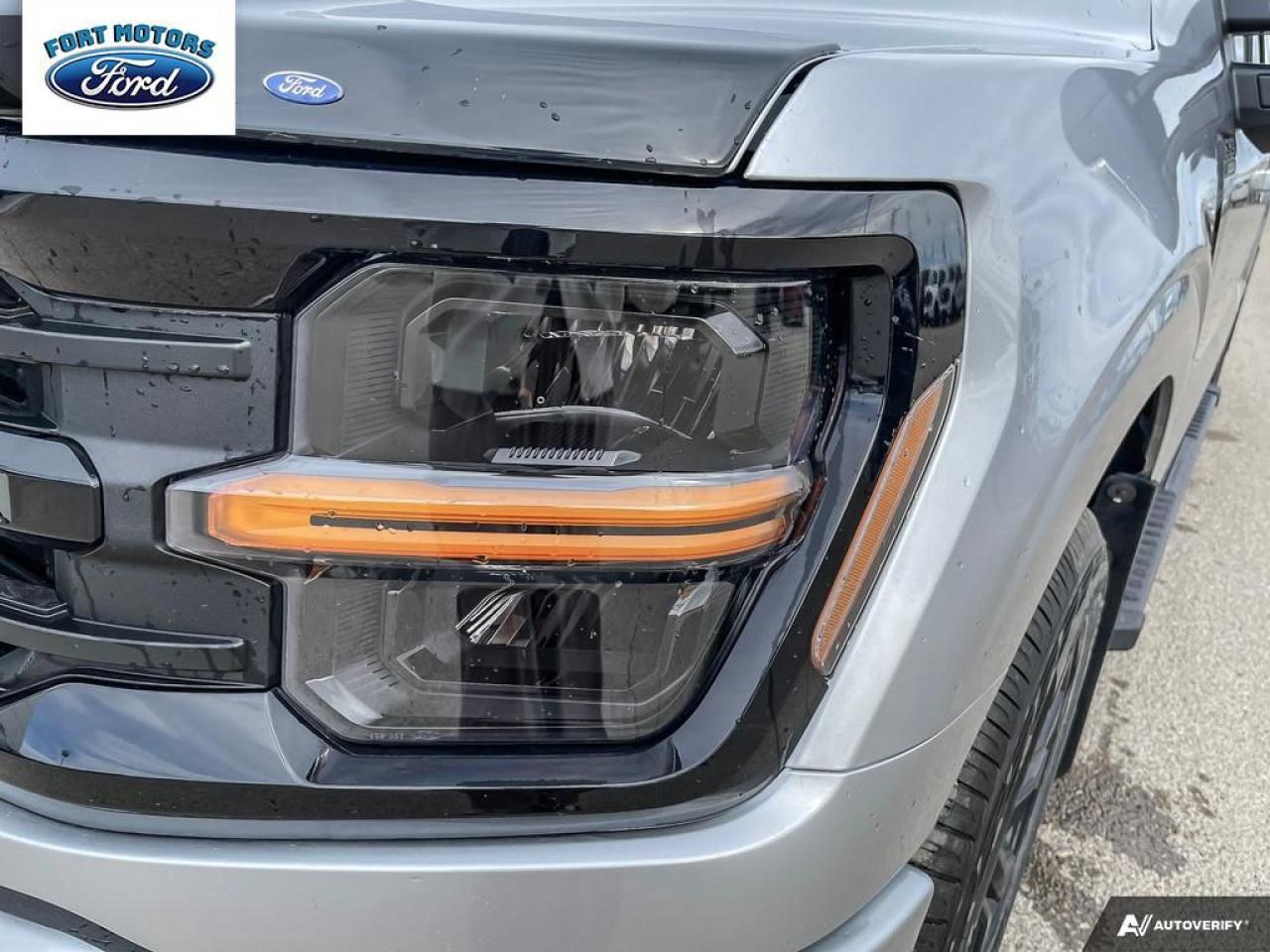 2025 Ford F-150 XLT Photo5