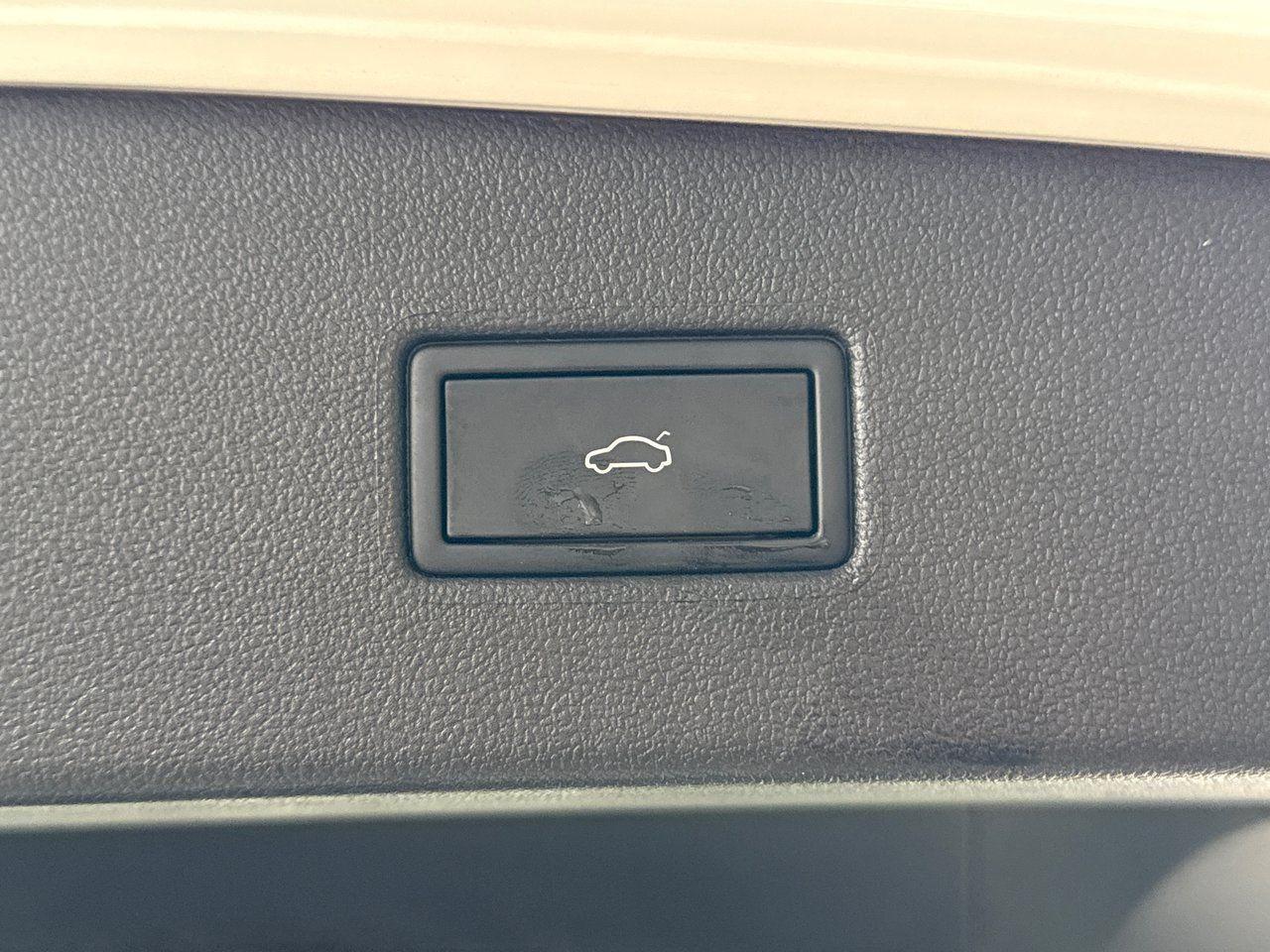2024 Volkswagen Tiguan  - Photo #28