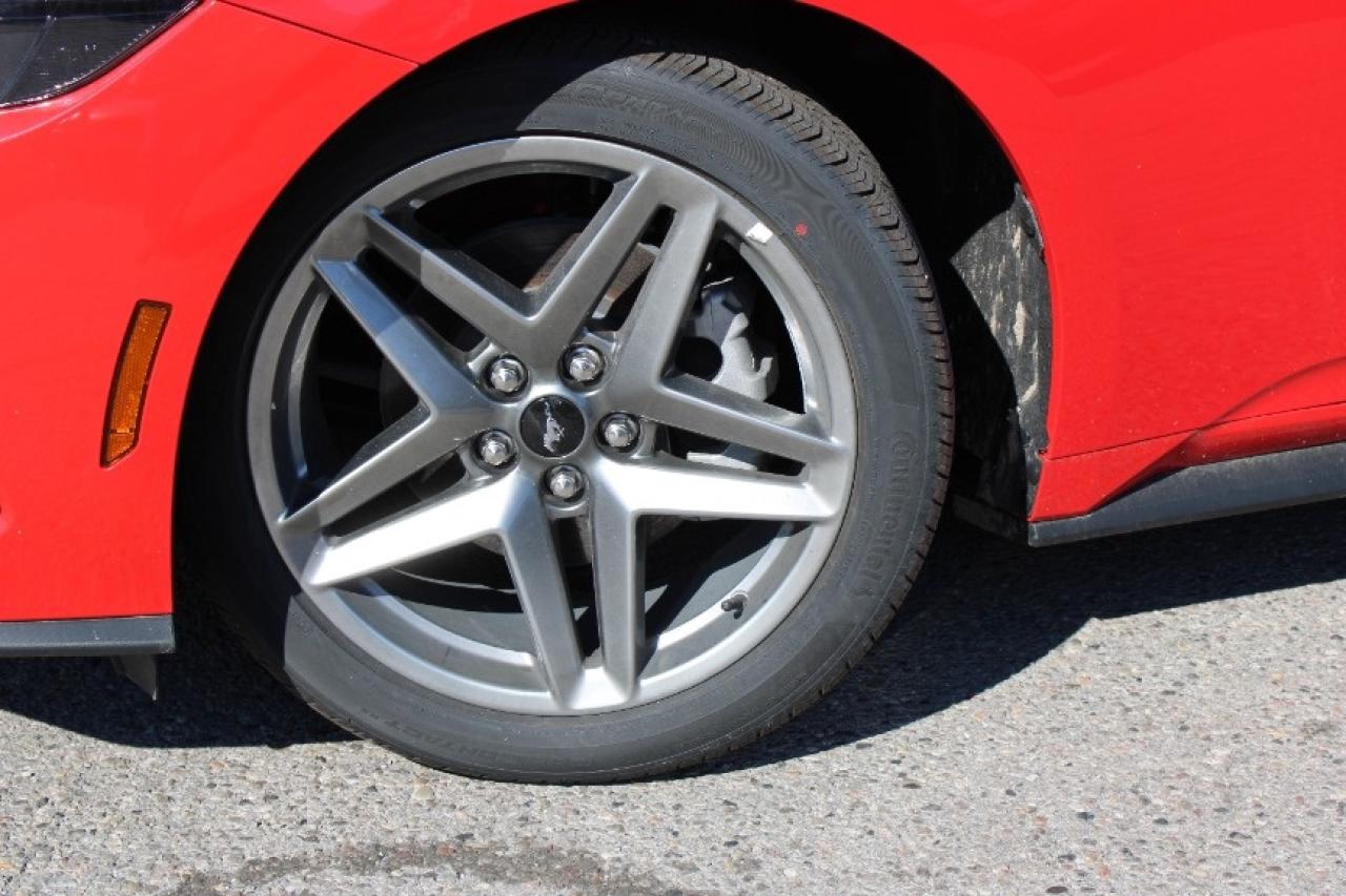 2025 Ford Mustang EcoBoost Fastback Photo