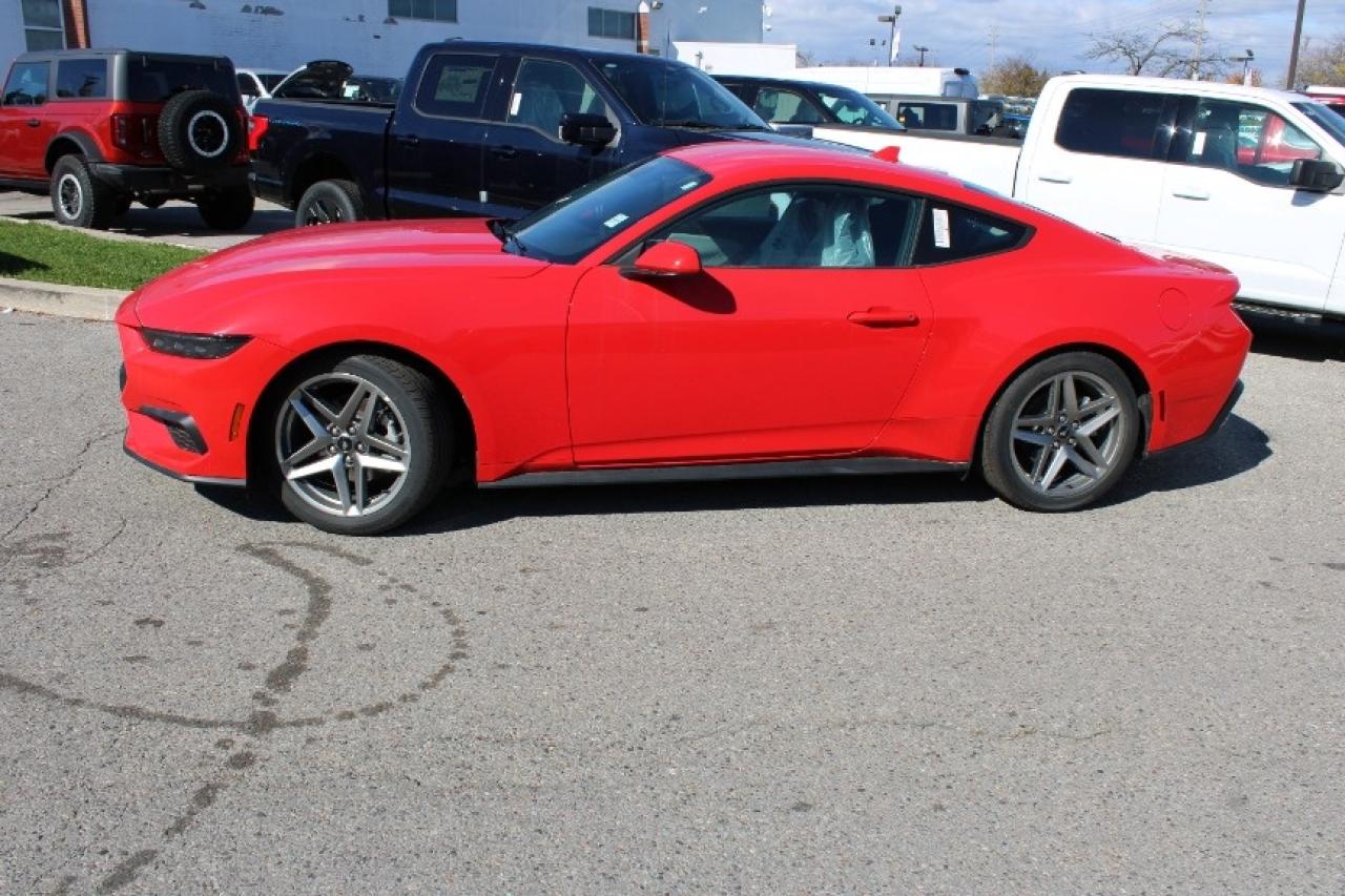 2025 Ford Mustang EcoBoost Fastback Photo3