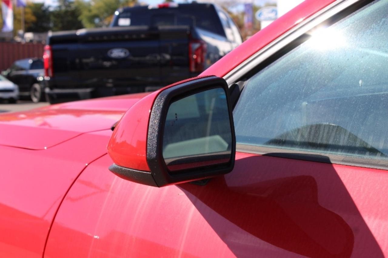 2025 Ford Mustang EcoBoost Fastback Photo