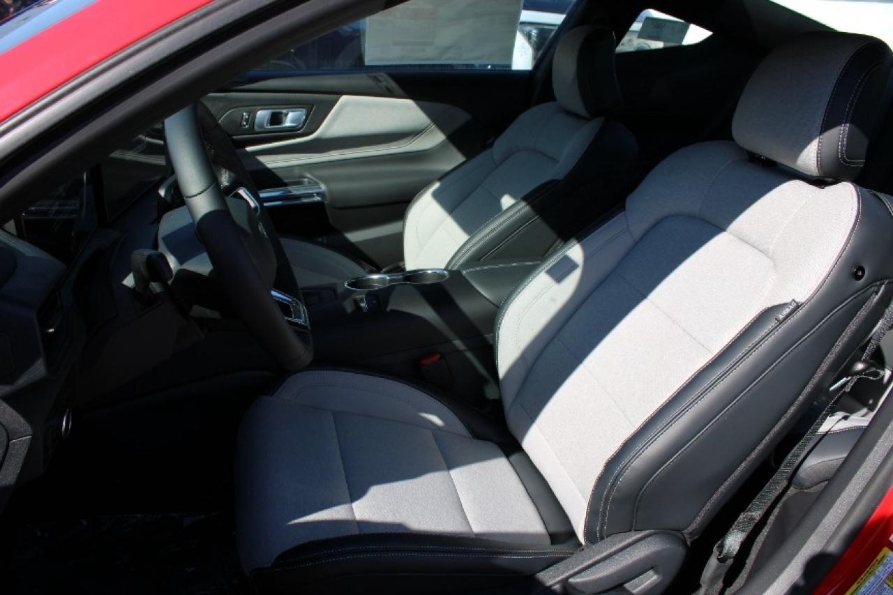 2025 Ford Mustang EcoBoost Fastback Photo