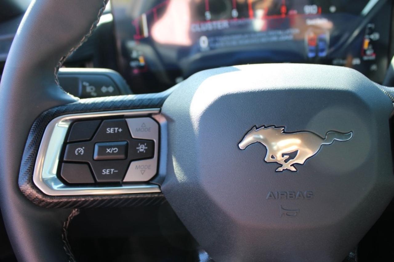 2025 Ford Mustang EcoBoost Fastback Photo