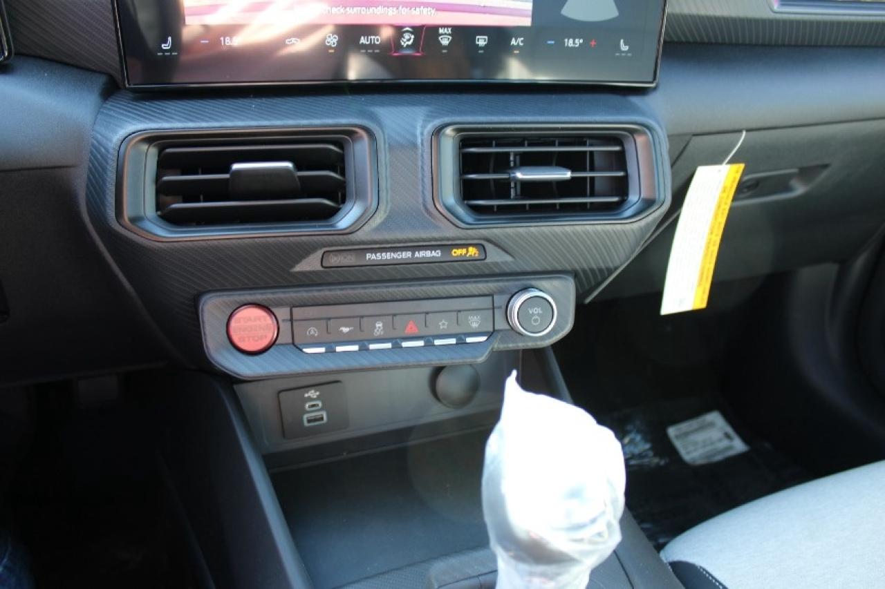 2025 Ford Mustang EcoBoost Fastback Photo