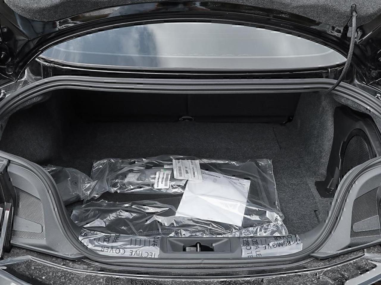 2025 Ford Mustang GT Premium Fastback Photo