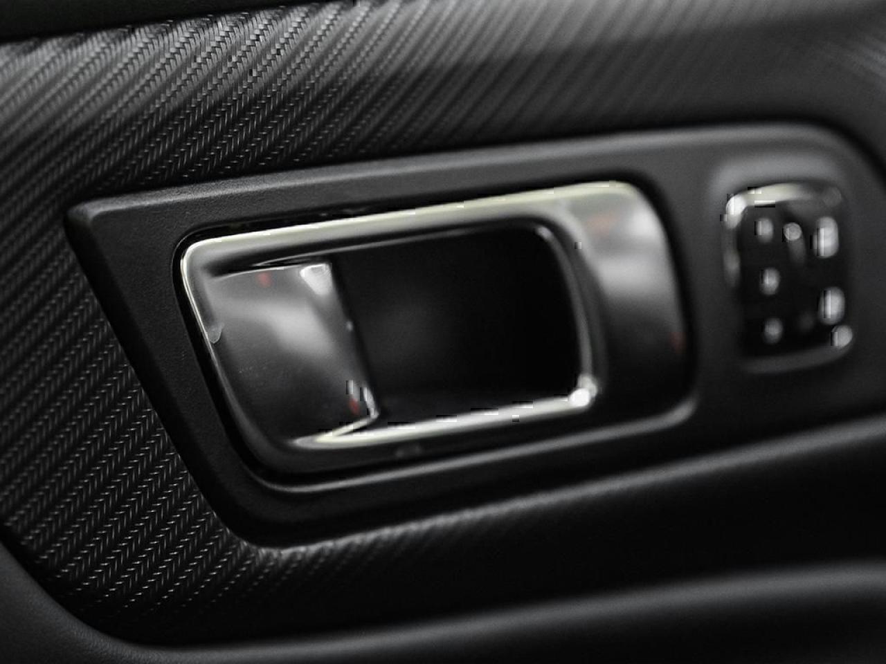 2025 Ford Mustang GT Premium Fastback Photo