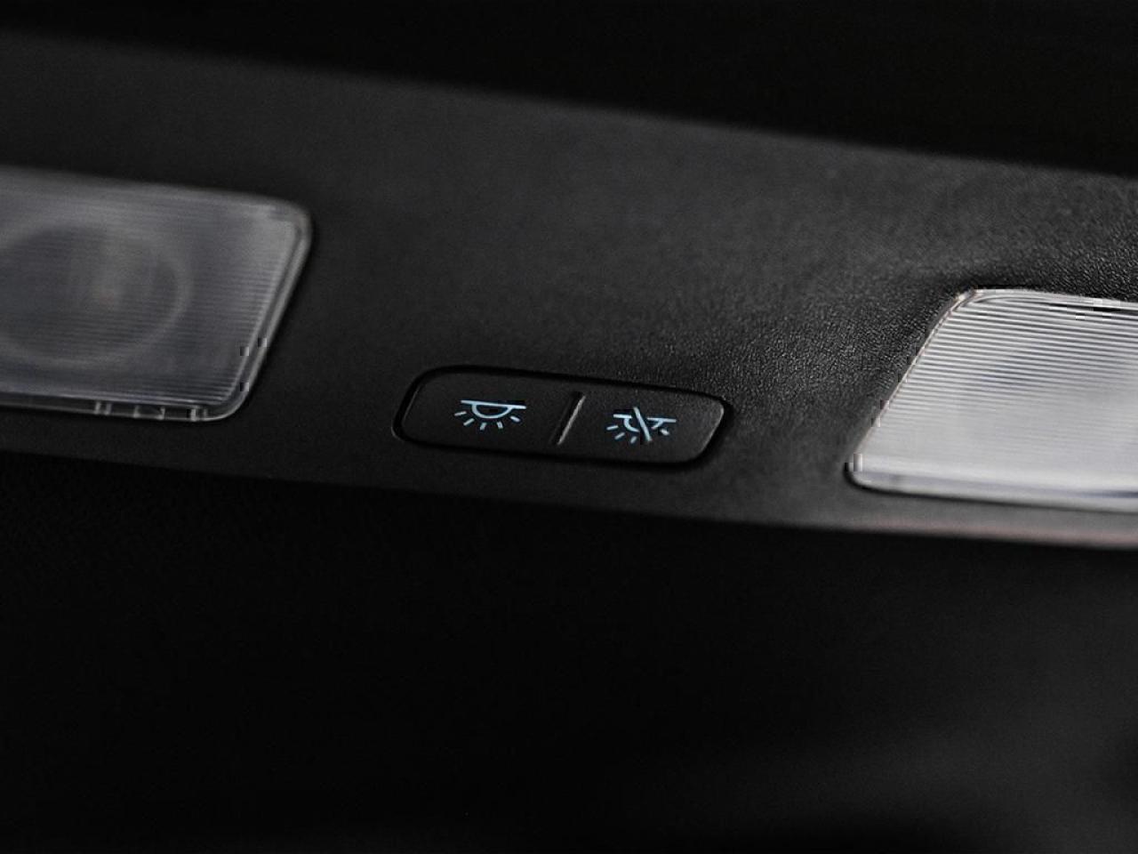 2025 Ford Mustang GT Premium Fastback Photo