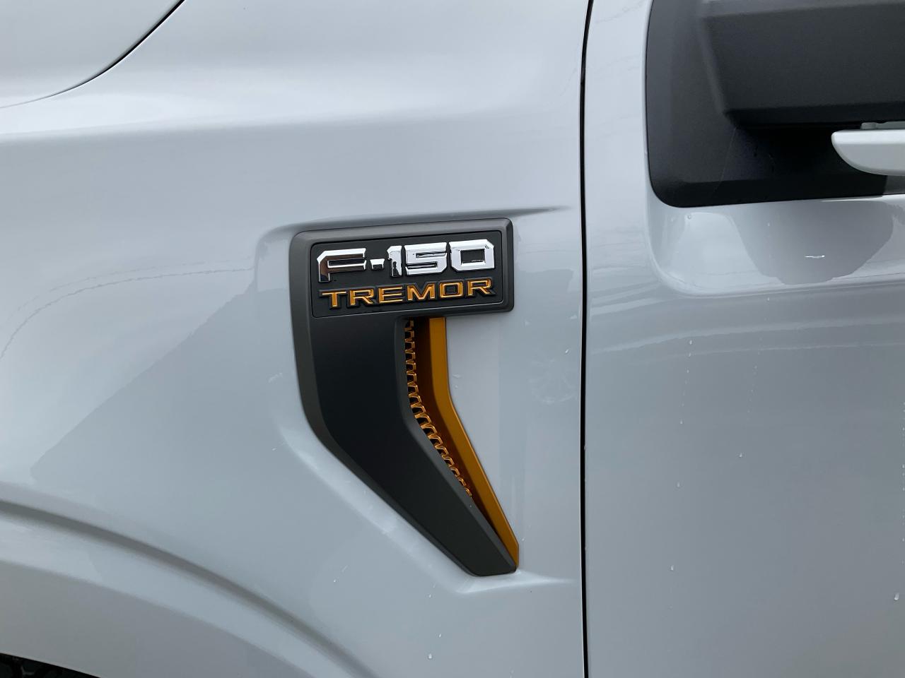 2025 Ford F-150 Tremor Photo5