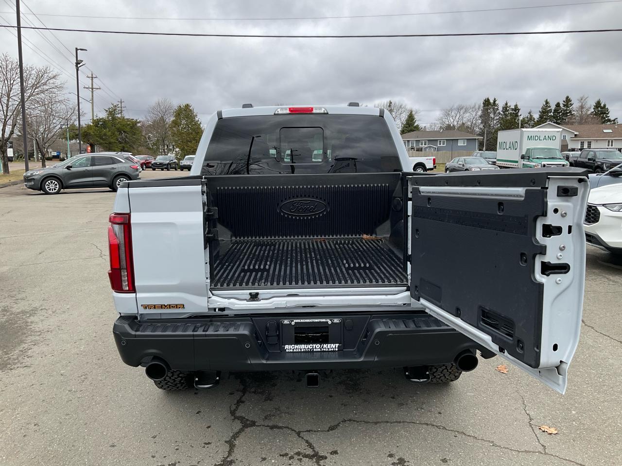 2025 Ford F-150 Tremor Photo5