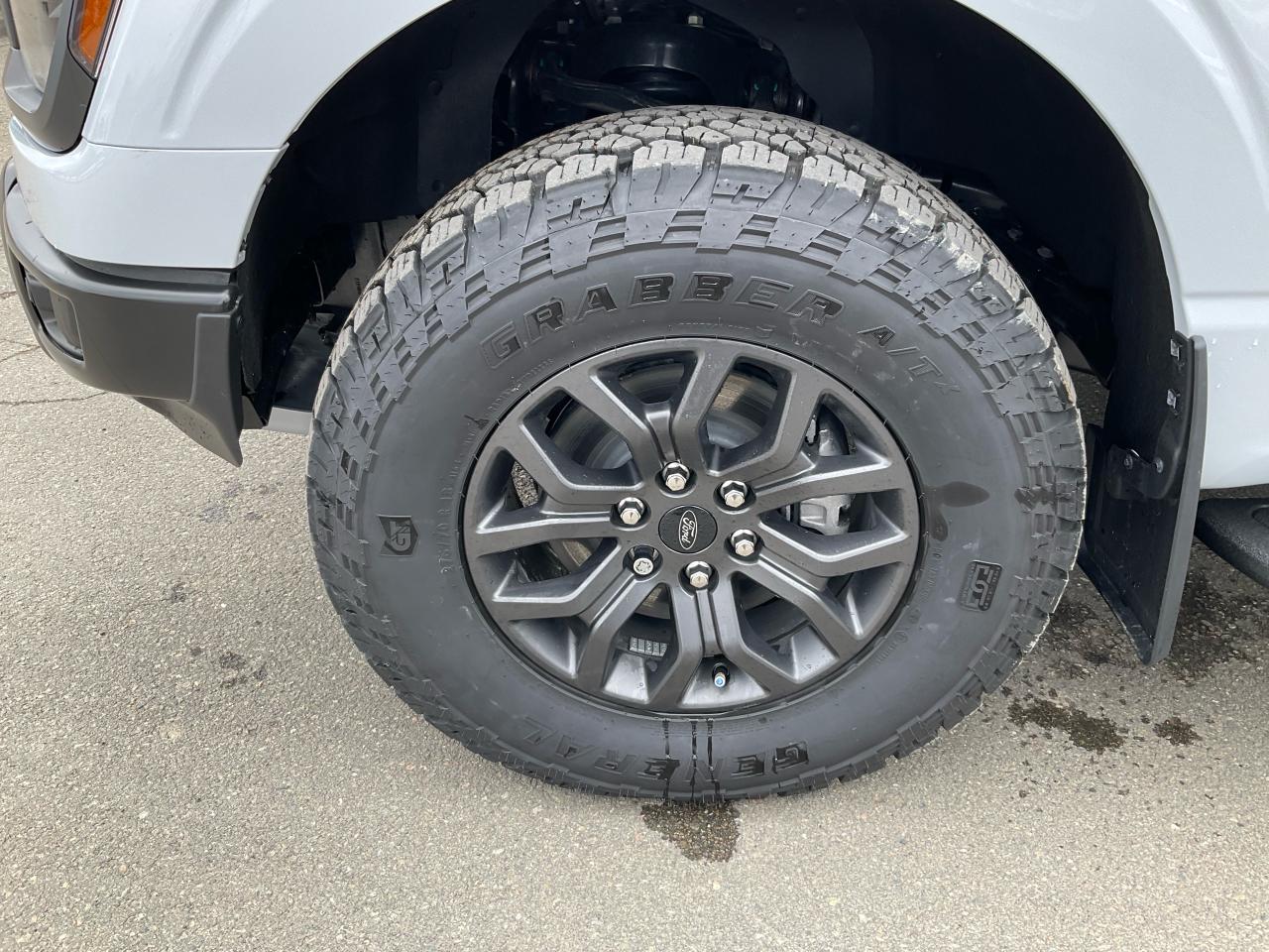 2025 Ford F-150 Tremor Photo5