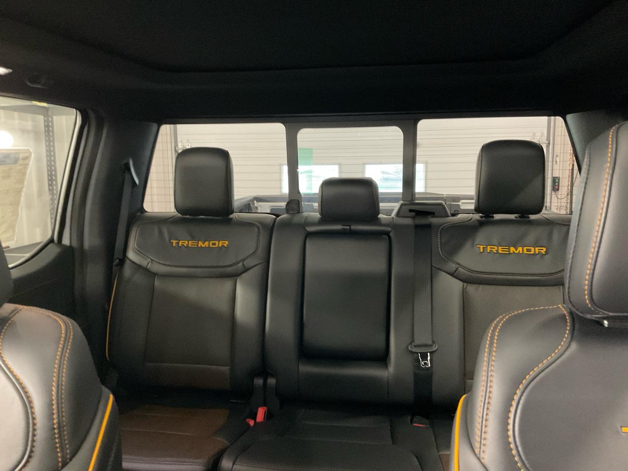 2025 Ford F-150 Tremor Photo5