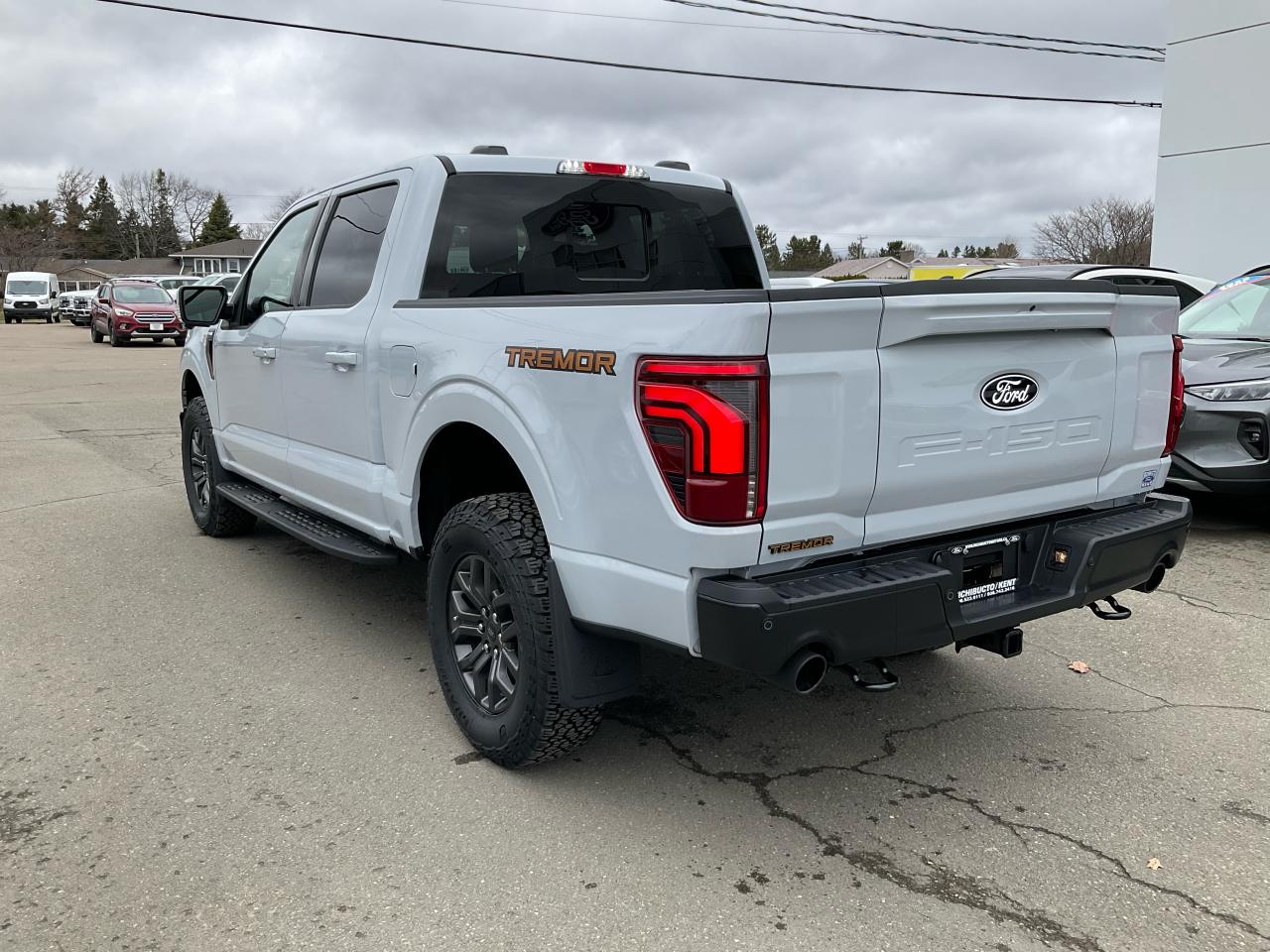 2025 Ford F-150 Tremor Photo3