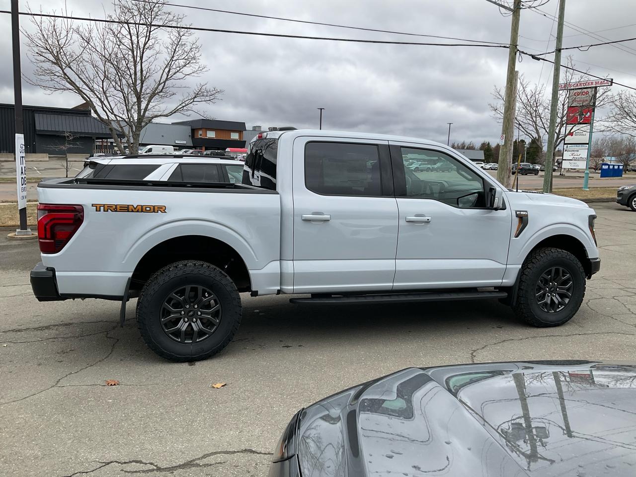 2025 Ford F-150 Tremor Photo5