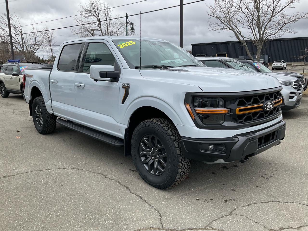 2025 Ford F-150 Tremor Photo