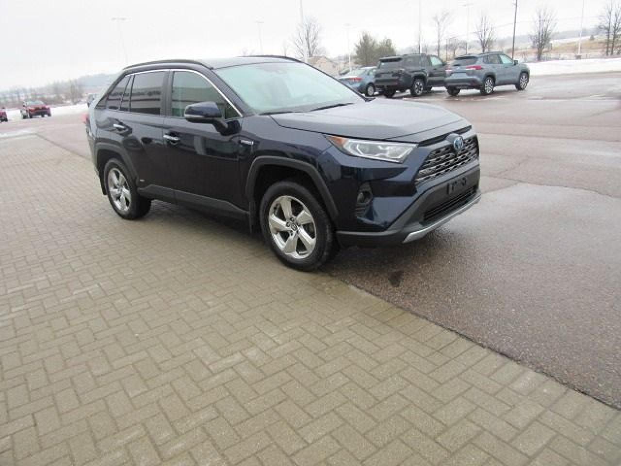 2020 Toyota RAV4 Hybrid Limited - Photo #8