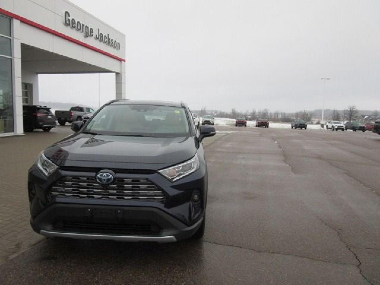 2020 Toyota RAV4 Hybrid Limited - Photo #9