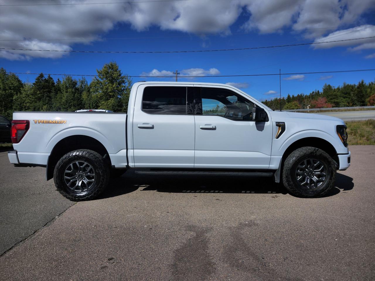 2025 Ford F-150 Tremor 4WD SuperCrew 5.5' Box Photo3