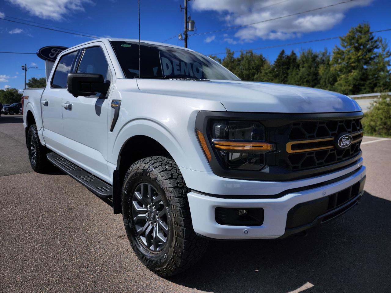 2025 Ford F-150 Tremor 4WD SuperCrew 5.5' Box Photo