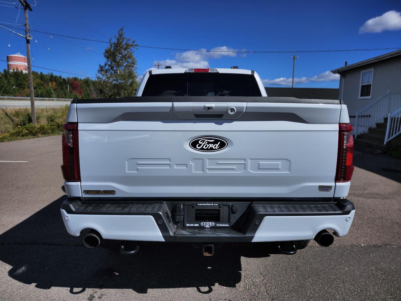 2025 Ford F-150 Tremor 4WD SuperCrew 5.5' Box Photo5