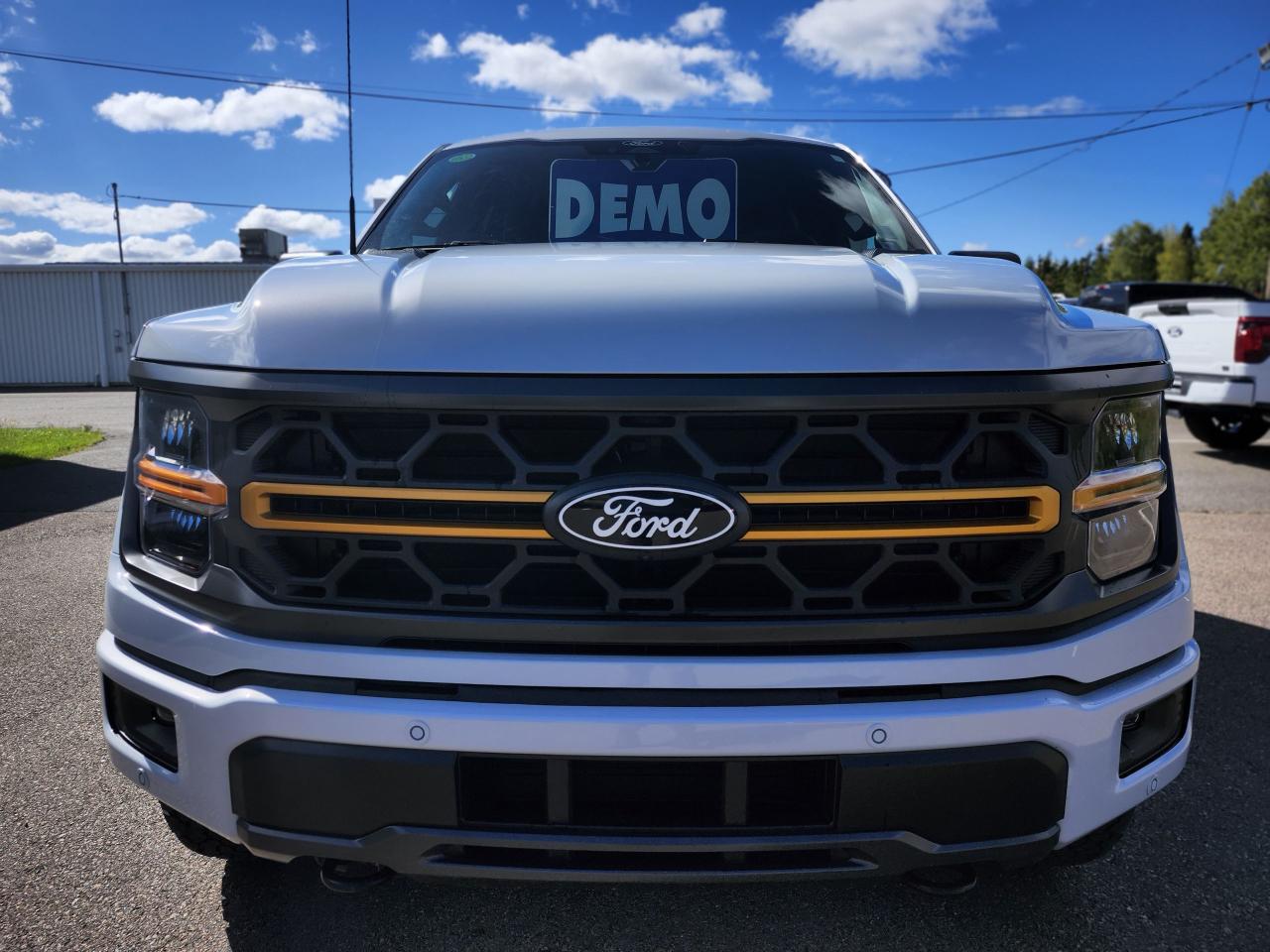 2025 Ford F-150 Tremor 4WD SuperCrew 5.5' Box Photo
