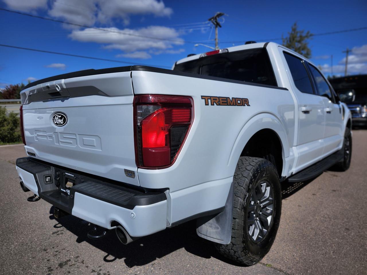 2025 Ford F-150 Tremor 4WD SuperCrew 5.5' Box Photo4