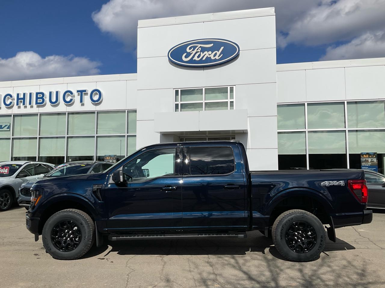 2025 Ford F-150 XLT Photo5