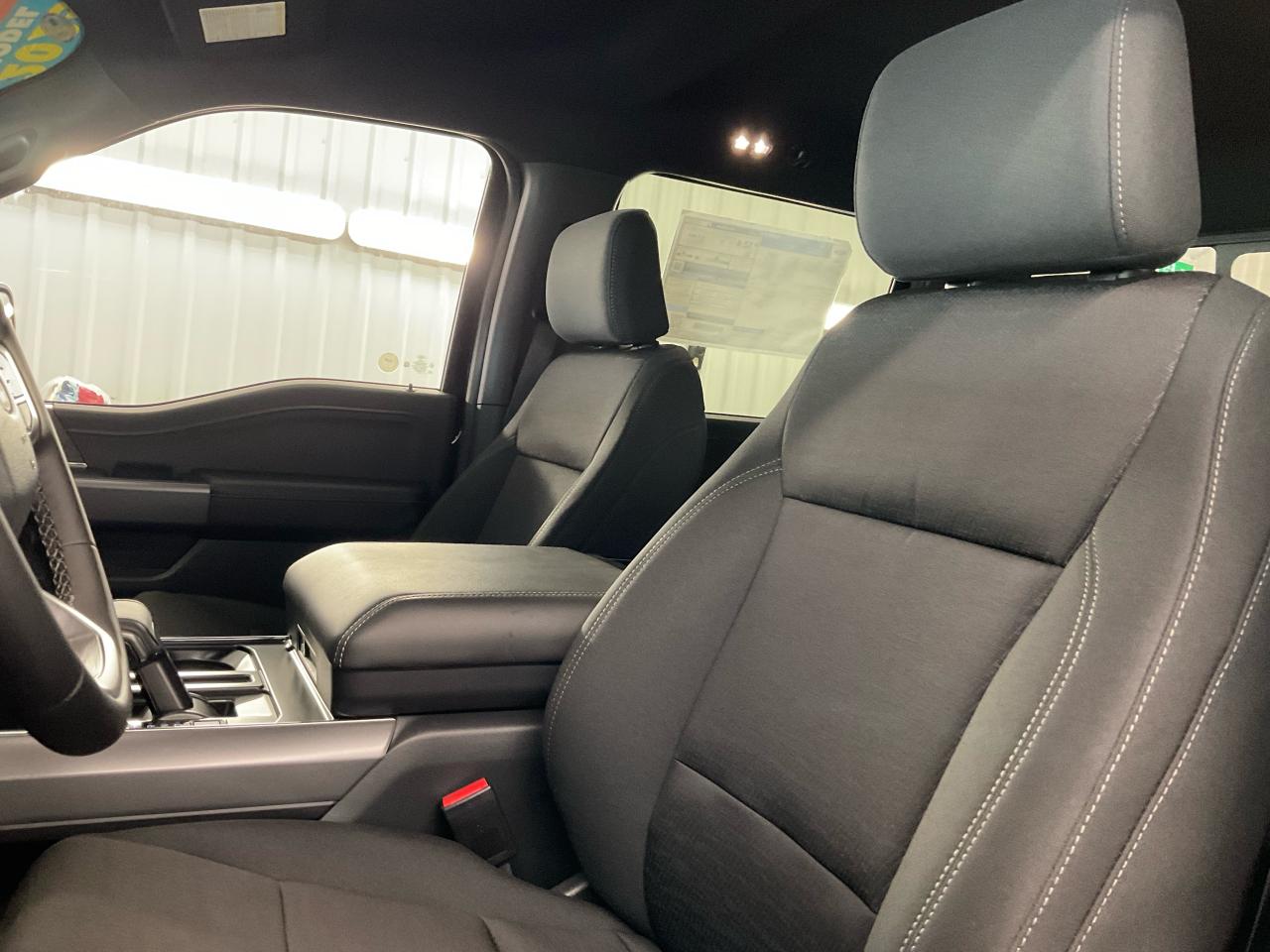 2025 Ford F-150 XLT Photo5