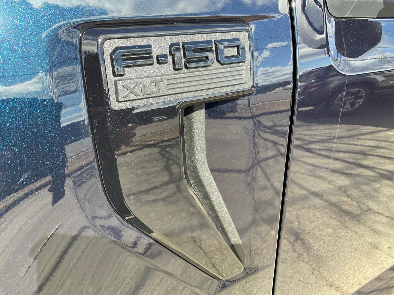 2025 Ford F-150 XLT Photo5