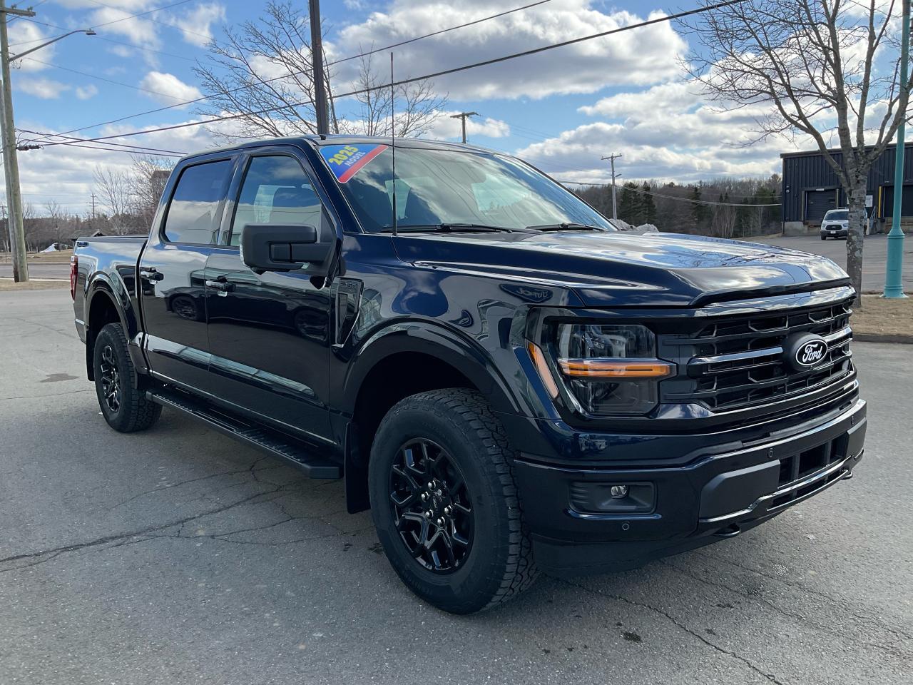 2025 Ford F-150 XLT Photo5