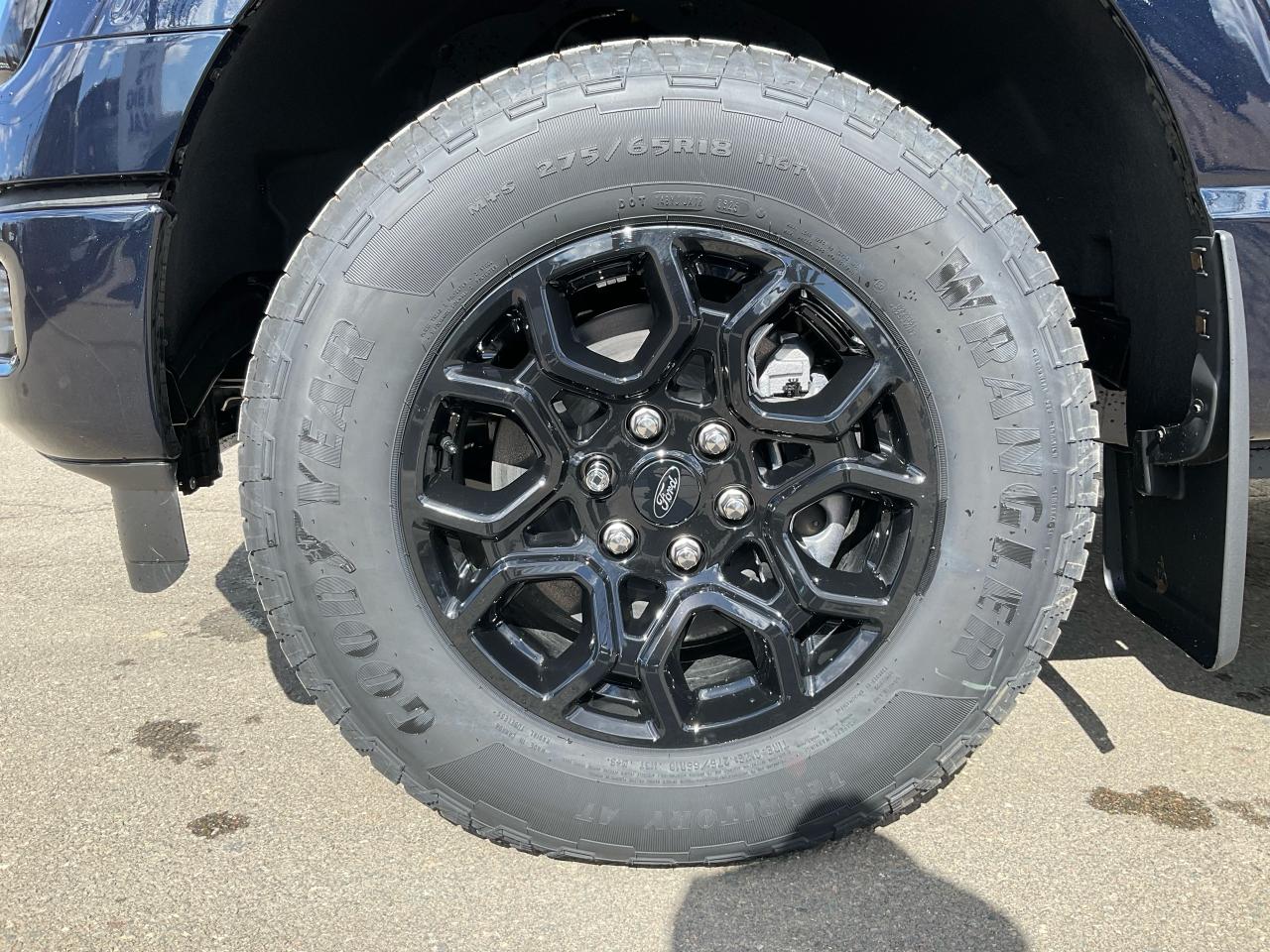 2025 Ford F-150 XLT Photo5