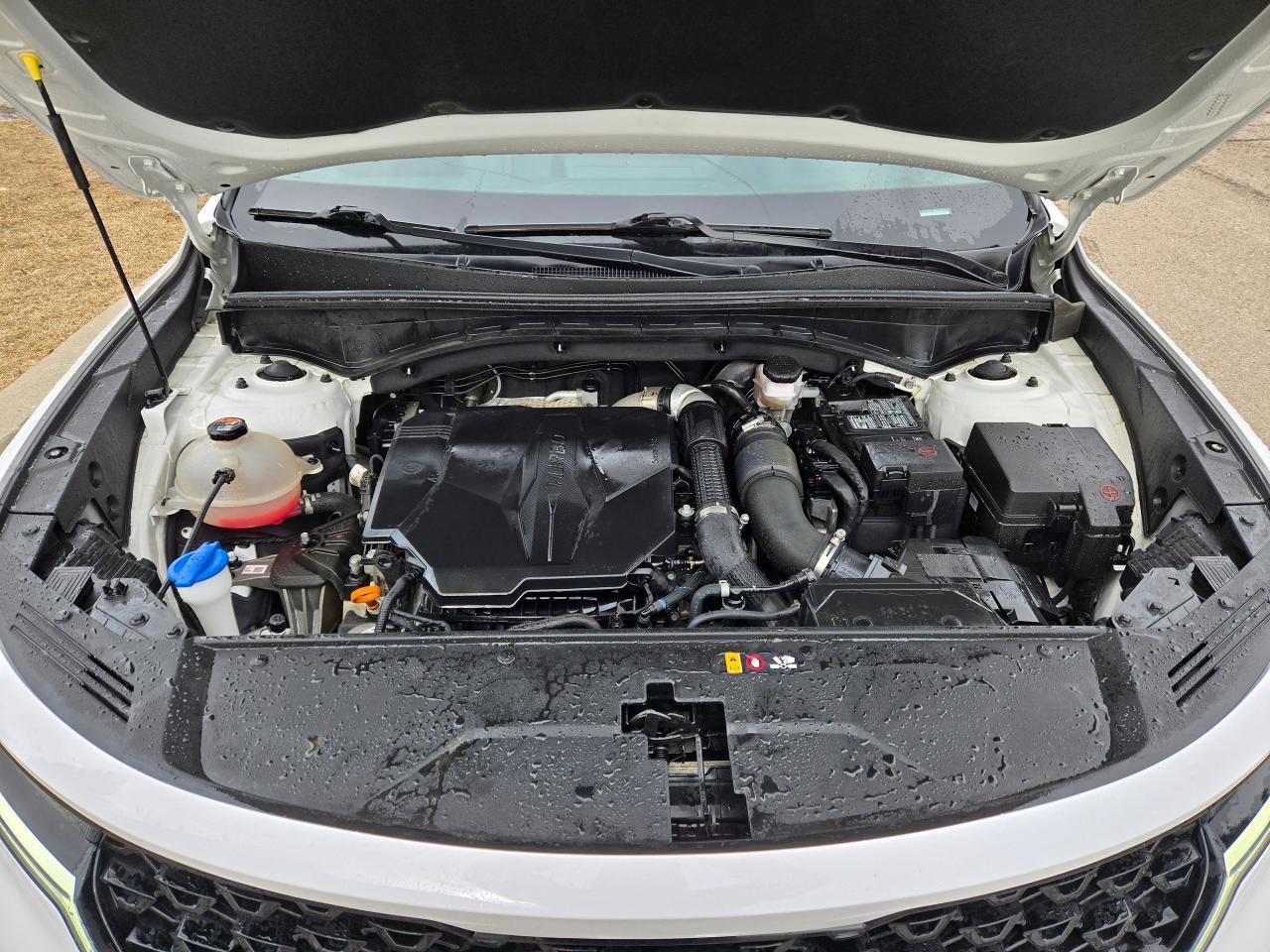 2021 Kia Sorento EX | ALL CREDIT ACCEPTED!! - Photo #20