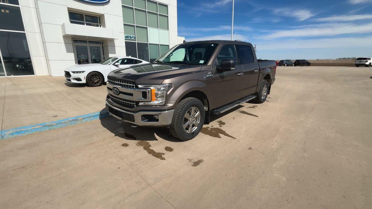 2020 Ford F-150 XLT 4WD SuperCrew 5.5' Box Photo3