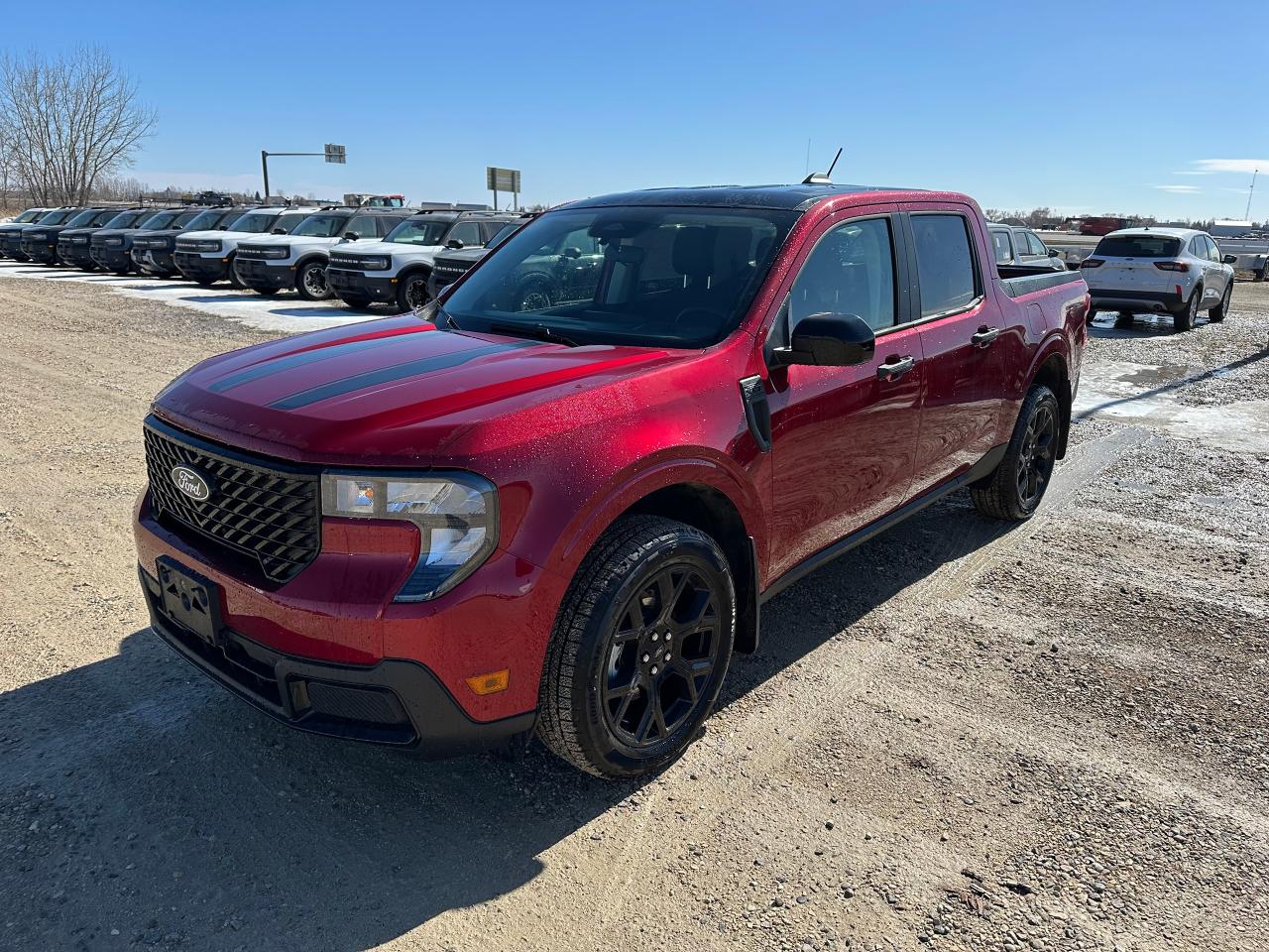 New 2025 Ford Maverick XLT AWD SuperCrew 302A for sale in Elie, MB
