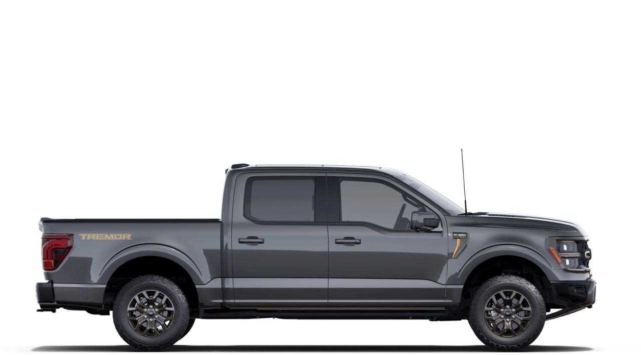 2025 Ford F-150 TREMOR 4WD SuperCrew 5.5' Box 402A Photo4