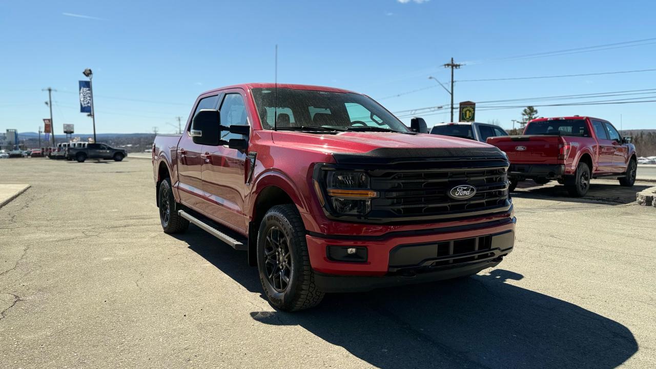2025 Ford F-150 XLT Photo5