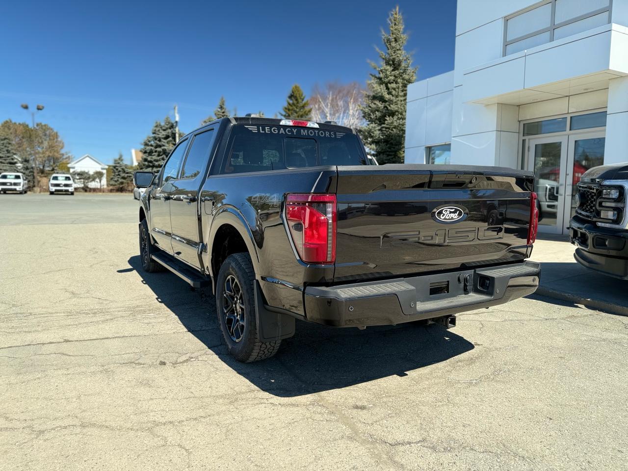 2025 Ford F-150 XLT Photo