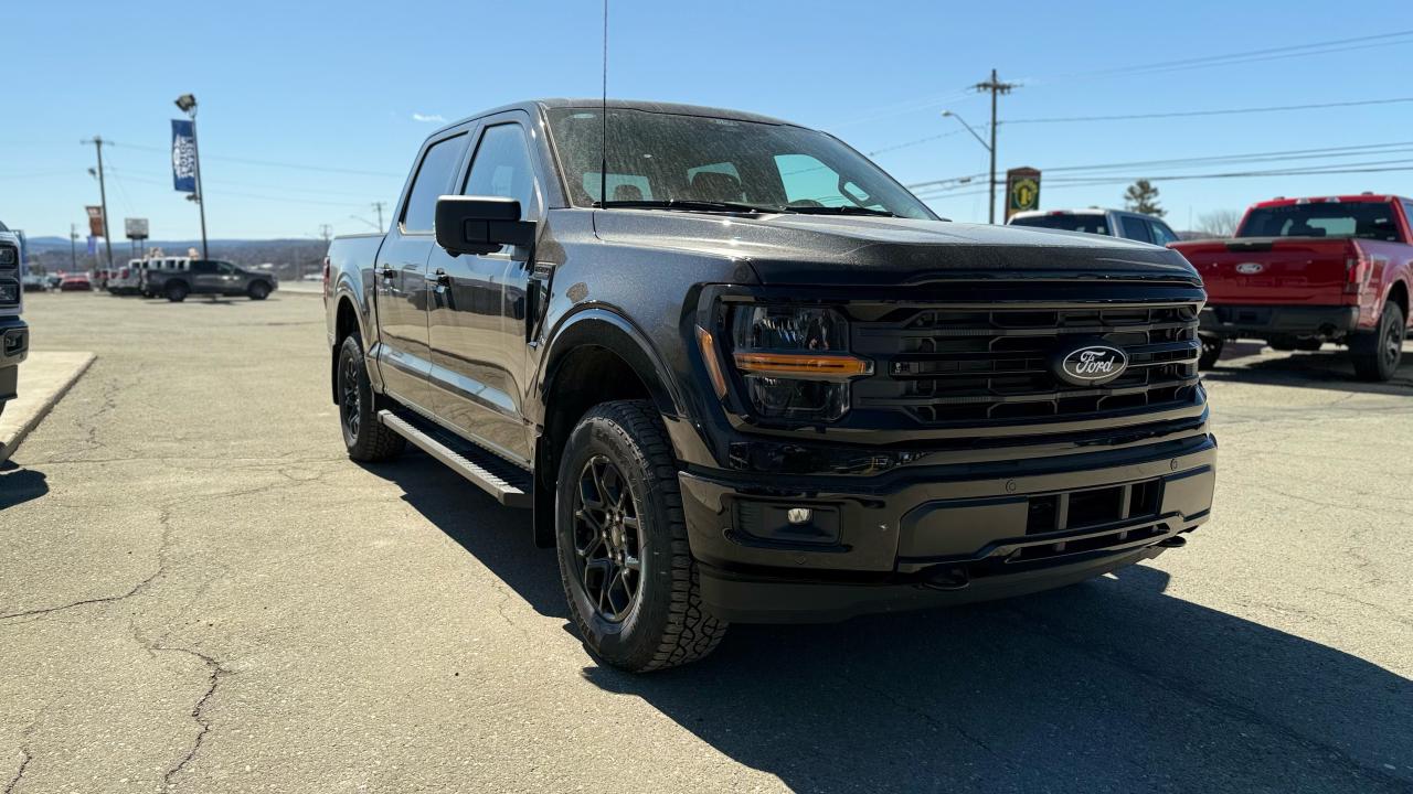 2025 Ford F-150 XLT Photo1